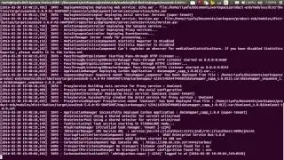 Remote debugging WSO2 products using intellij