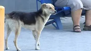 DSCN5559