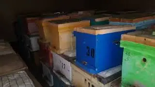 ПАСЕКА СЪЕЗДИЛ ОСМОТРЕЛ