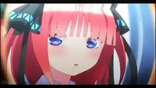 nino AMV