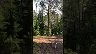 Мысли психолога. «Зависимость от чужого мнения. Шаг к освобождению».