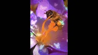 #shortvideo #музыка #youtube