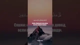 Коран. #islamic #islam #islamicvideo #quraan #quran #коран #ислам