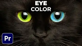 How To Change Eye Color In Premiere Pro