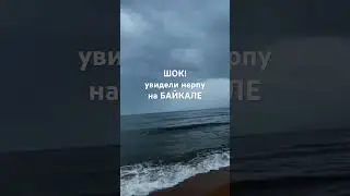 полное видео смотри на канале