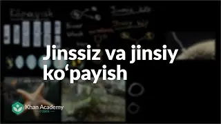 Jinssiz va jinsiy ko‘payish | Koʻpayish va hujayra boʻlinishi | Yuqori sinf biologiyasi