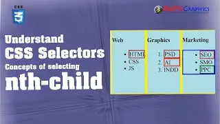 nth Selector CSS Tricks nth child and first-child learn with examples
