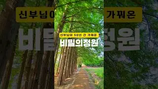 50m 높이의 메타세쿼이아 장벽으로 유명한 곳 #여행에미치다 #여행스타그램 #국내여행 #대한민국구석구석 #국내여행지추천 #익산여행 #아가페정원 #아가페정양원
