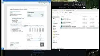 Easy-to-Use eInvoice PDF Viewer - Open-Source .NET WPF Viewer for CII & UBL XML Invoices