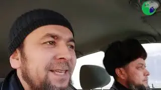 Чок машина эвазига 