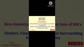 Hemolysis @EnteMicrobialWorld #microbiology #microbes #shortsfeed #bacteria #education #shortsfeed