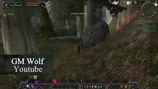 Endlose Wut Rune | Endless Rage Rune | Nachtelf Krieger Rune | WoW Season of Discovery