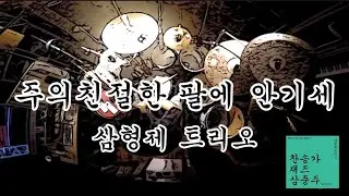삼형제 트리오 [찬송가 삼중주 - 주의 친절한 팔에 안기세] 드럼 레코딩 영상