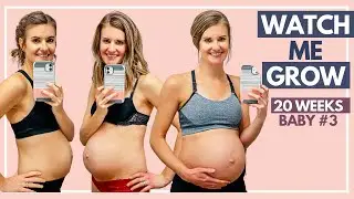 Pregnancy Transformation | Week by Week Progress (5-20 weeks)