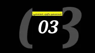 பூனைகளைப் பற்றிய சுவாரஸ்யமான உண்மைகள்