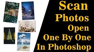how to crop multi image open from one scanned in Photoshop