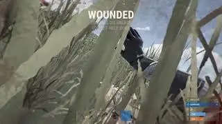 done with rust (ft. bears)
