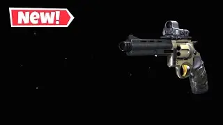 THE BEST MAGNUM CLASS SETUP IN BLACK OPS COLD WAR!
