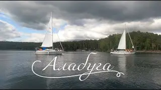 Архивариус. Алабуга