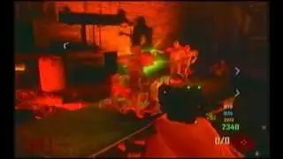 Black Ops 2 Zombie's Glitch Online Multiplayer Xbox/Ps3