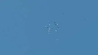 Тишина и Блогадарь..........