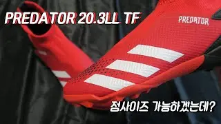 프레데터 20.3LL TF 사이즈 좋은데? 구매전 필독 !