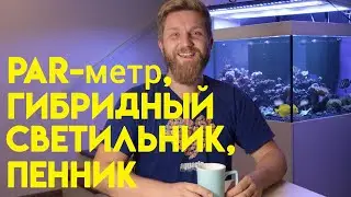 гибридный свет,  PAR-метр, пенник PRO-SKIMM 250, vlog.