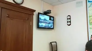 Глава Николаевского района Хабаровского края