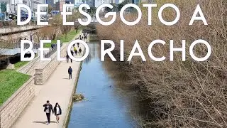 Um Exemplo de Revitalização: Riacho Cheonggyecheon