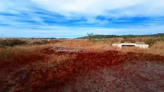 Fpv Freestyle / Silvergrass Field