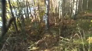 Матвей стреляет