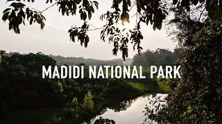 Madidi National Park | Amazon Jungle Tour in Bolivia