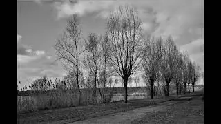 FotogroepRSD Winterfoto zwart wit