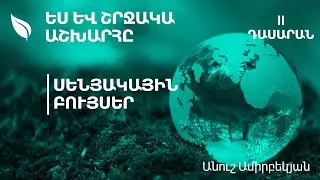Սենյակային բույսեր․ 2-րդ դասարան