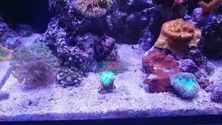Rico's nano challenge 2018