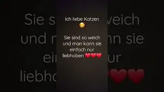 Was ist euer Lieblingstier? ❤️❤️❤️