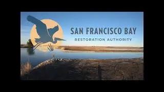 San Francisco Bay Restoration