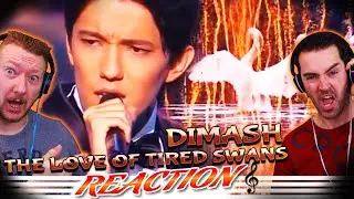 Dimash REACTION! ''The Love Of Tired Swans''