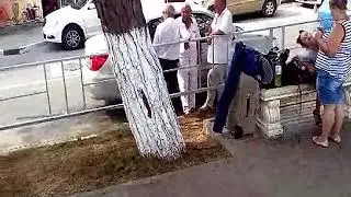 кабардинка   2018