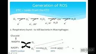 Free radicals and antioxidants Part 1