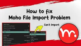 Fixed: Moho File Import Problem