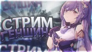 Геншын импакт сабираем монетки