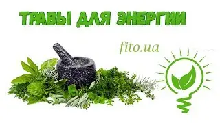 Herbs for Energy and Vitality: Top 5