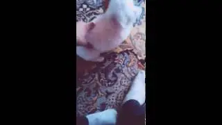 Вот такие мы злюки!)))Щеночек