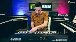 Yamaha PSR SX600 Accordion, organ