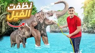 تحدي تنظيف أكبر فيل في اندونيسيا بين الغابات 🐘🌊!! فلوق#4