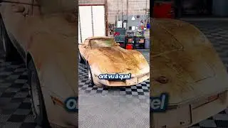 He hasn't opened his garage for 10 years.