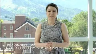 A Message from Our Residency Program Director