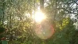 Рисовало ЛЕТО день ...