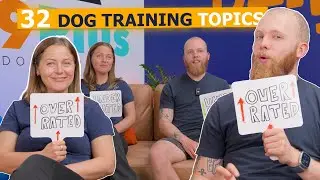 EP.2 - Overrated Vs Underrated Dog Training Topic